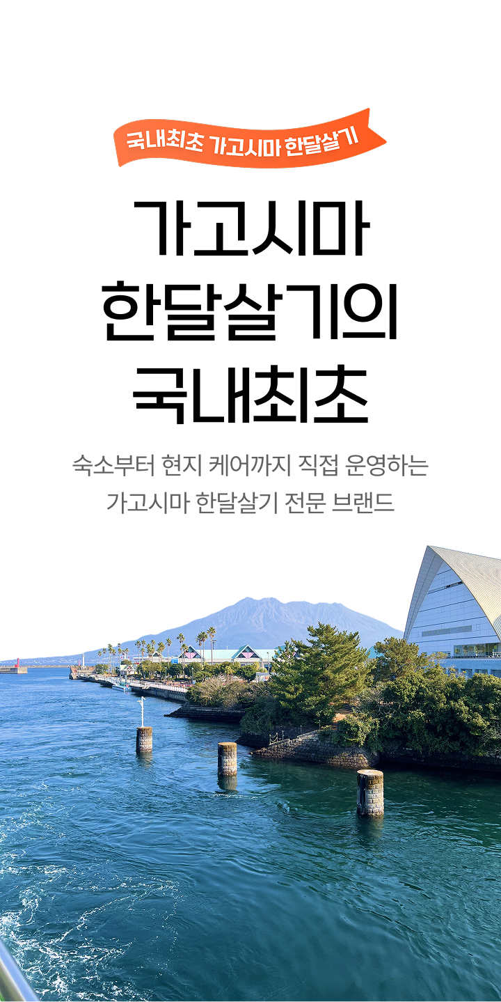 똑비 소개 01